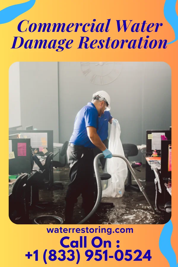 Commercial Water Damage Restoration in Colwyn, PA