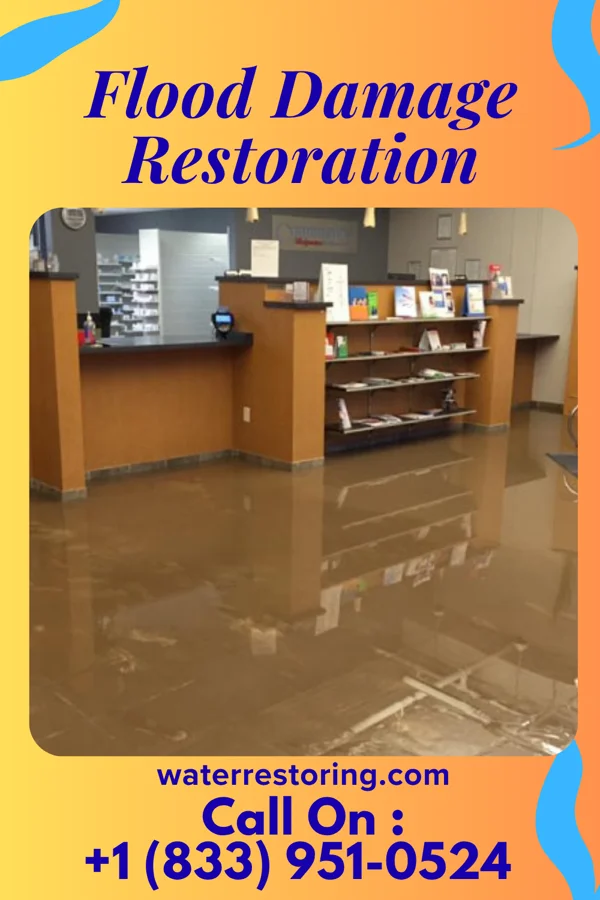 Flood Damage Restoration in Colwyn, PA