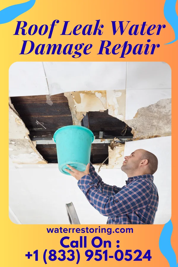 Roof Leak Water Damage Repair in Colwyn, PA