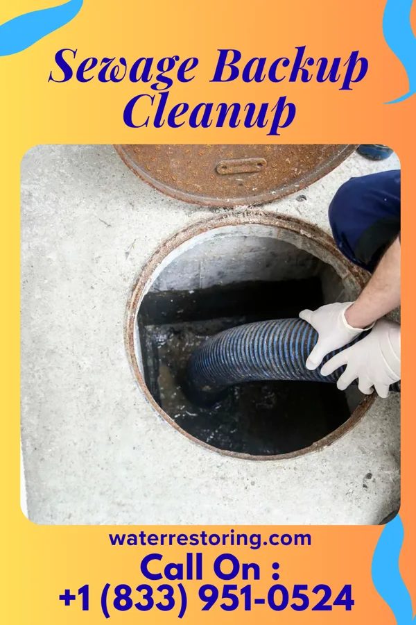 Sewage Backup Cleanup in Colwyn, PA