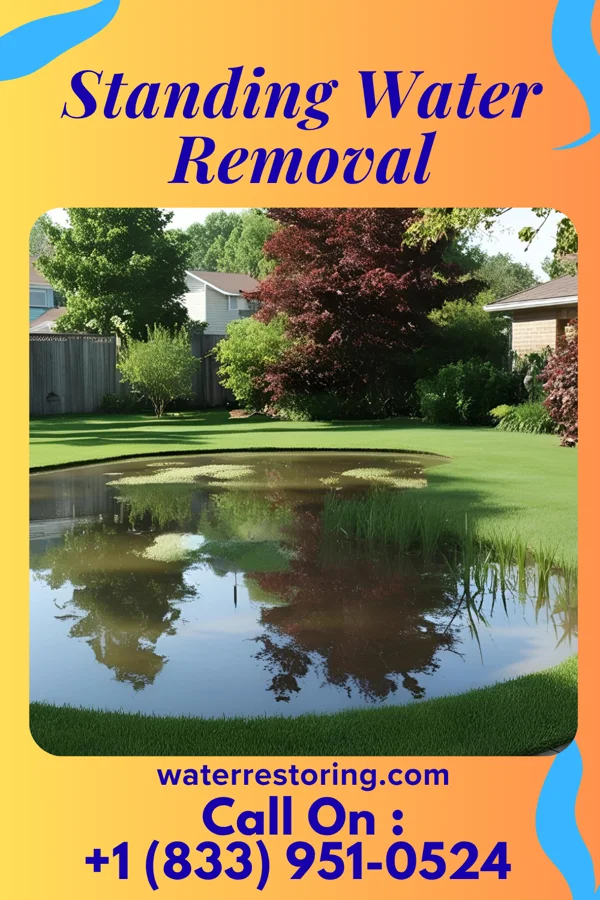 Standing Water Removal in Colwyn, PA
